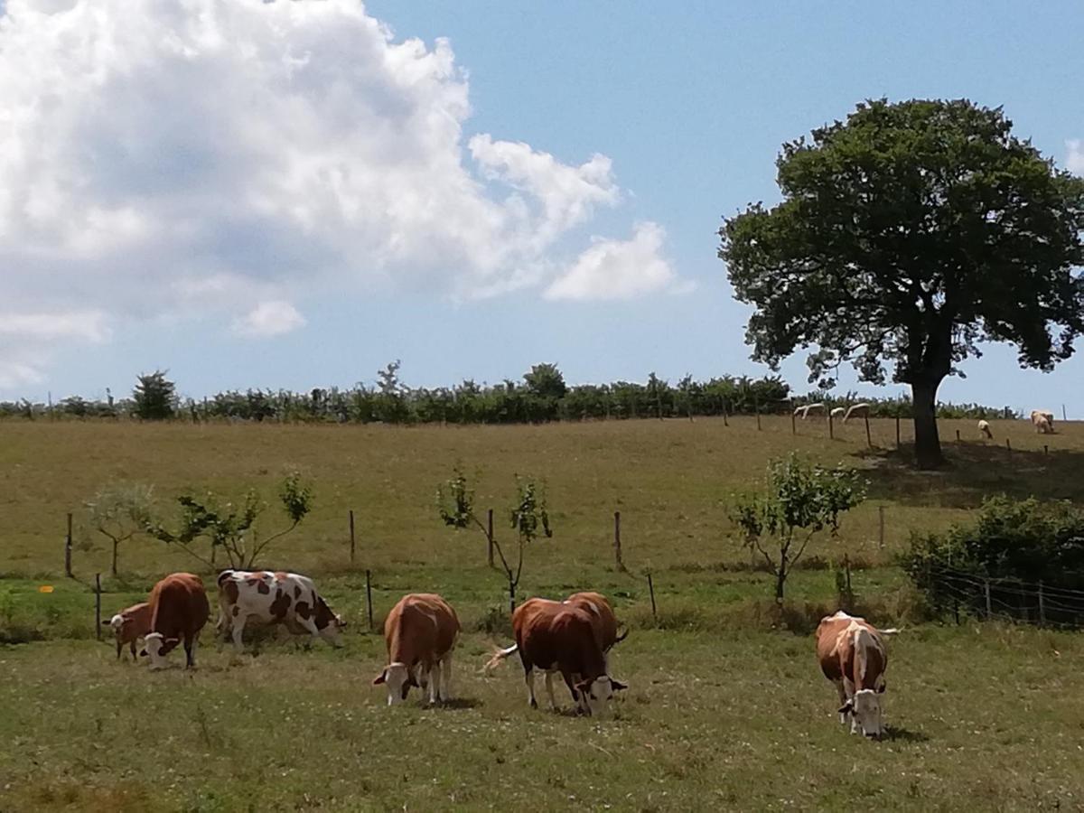 Valle Del Poggio Nocera Umbra Ngoại thất bức ảnh